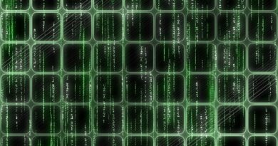 Ransomware Mimic Incar Everything