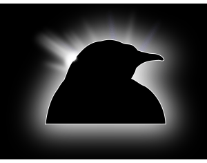 Rootkit Siluman Pengincar Developer